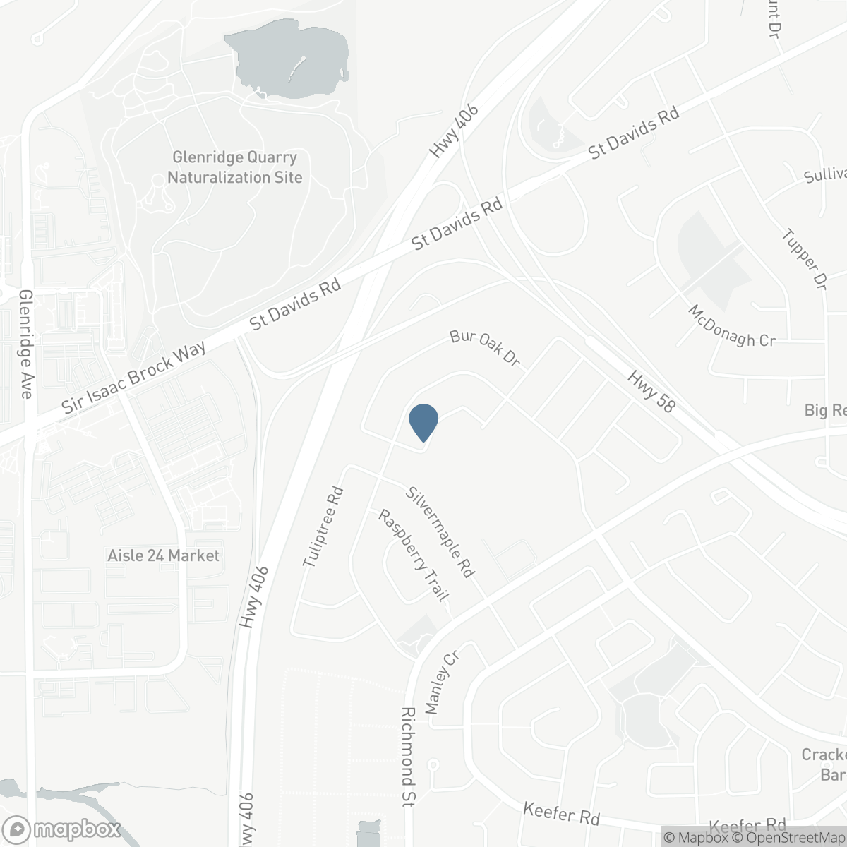 40 ELDERBERRY ROAD, Thorold, Ontario L2V 0E7